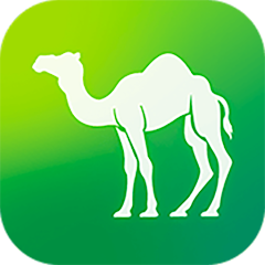 camel tv